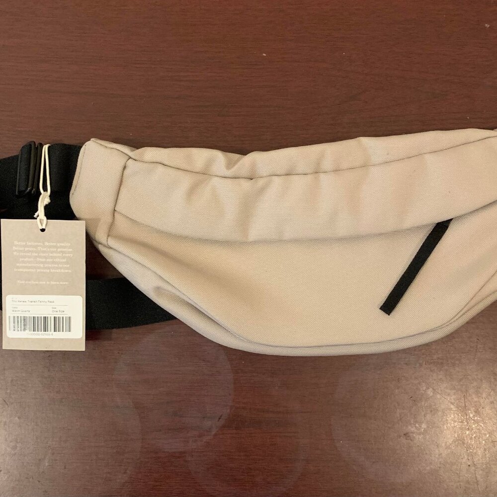 Everlane Fanny Pack - Picture 4 of 5